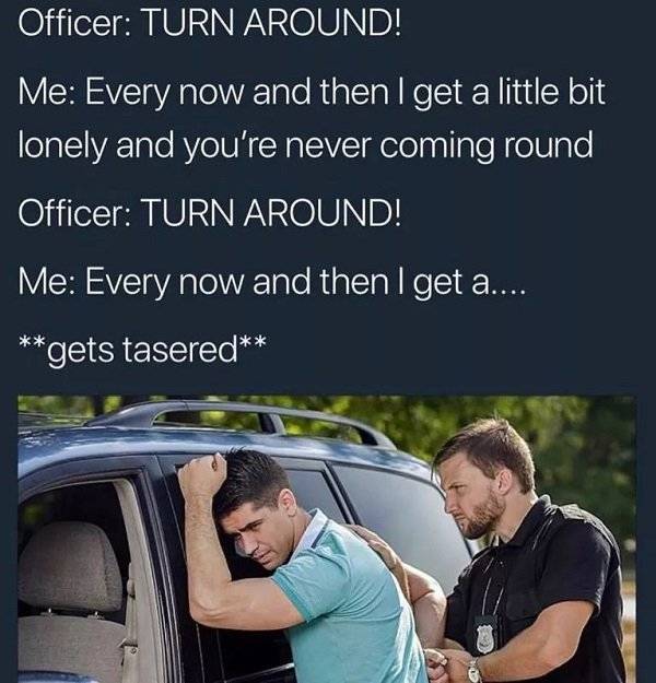 turn around meme - Officer Turn Around! Me Every now and then I get a little bit lonely and you're never coming round Officer Turn Around! Me Every now and then I get a.... gets tasered