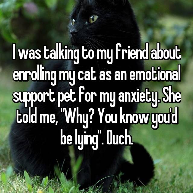 19 Confessions About Service Dogs/Pets May Shock You