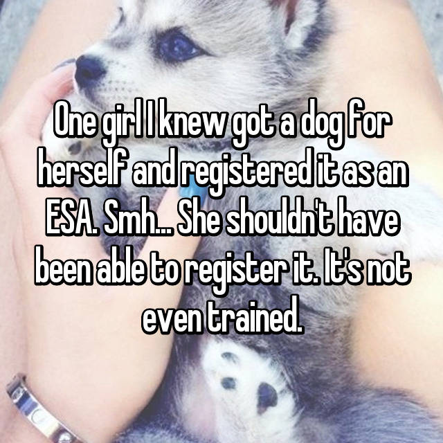 19 Confessions About Service Dogs/Pets May Shock You