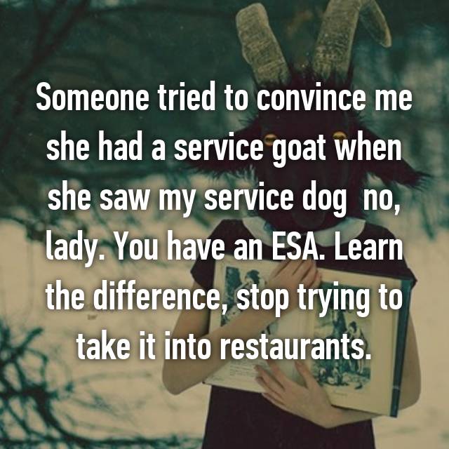 19 Confessions About Service Dogs/Pets May Shock You