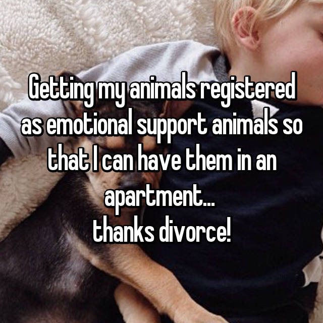 19 Confessions About Service Dogs/Pets May Shock You