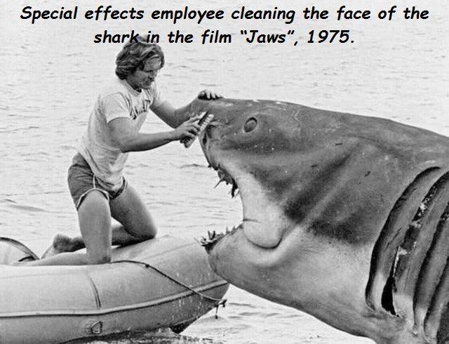 jaws 1975 behind the scenes - Special effects employee cleaning the face of the shark in the film "Jaws", 1975.