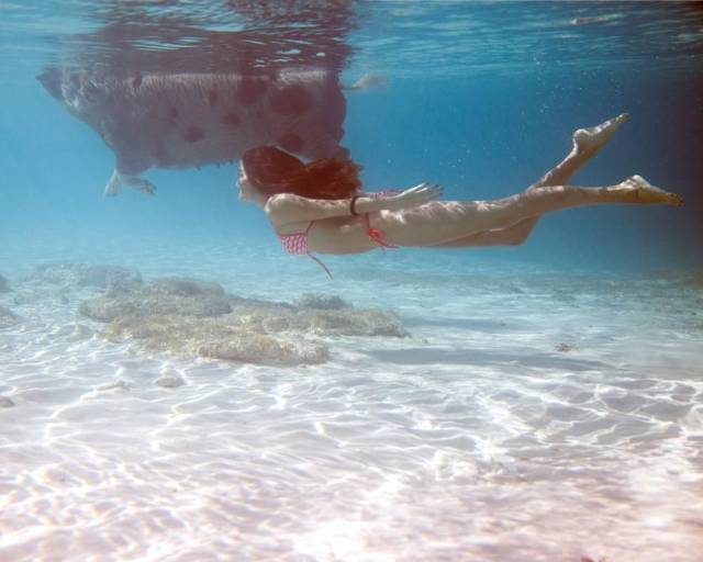 swimming in bahamas