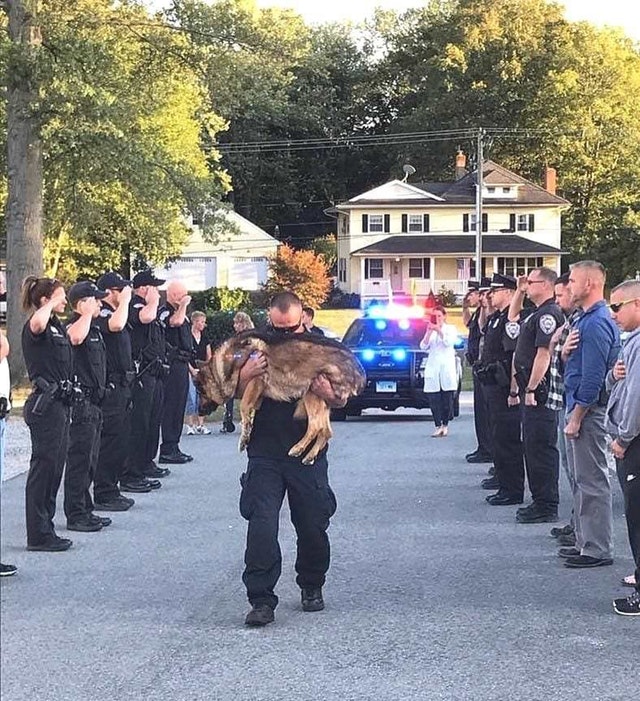 police dog saluted before being put down - Bibi