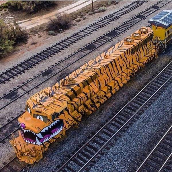 Tiger train