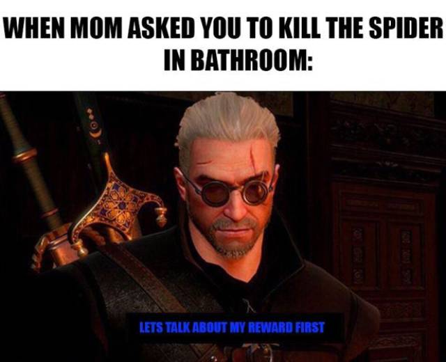 witcher 3 memes - When Mom Asked You To Kill The Spider In Bathroom Lets Talk About My Reward First