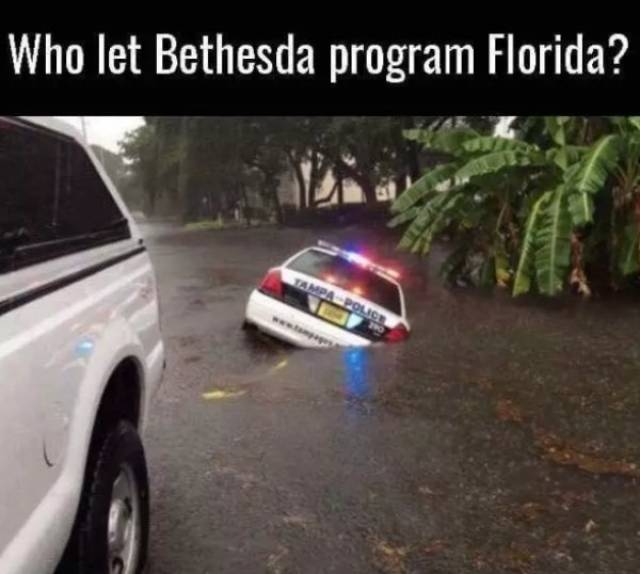 matrix tumblr posts - Who let Bethesda program Florida?