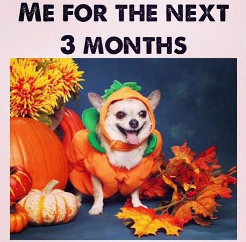 memes - excited for fall meme - Me For The Next 3 Months