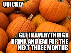 memes - pumpkin spice latte funny - Quickly Get In Everything I Drink And Eat For The Next Three Months