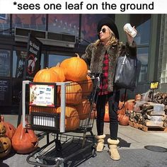 memes - sees one leaf on the ground meme - sees one leaf on the ground