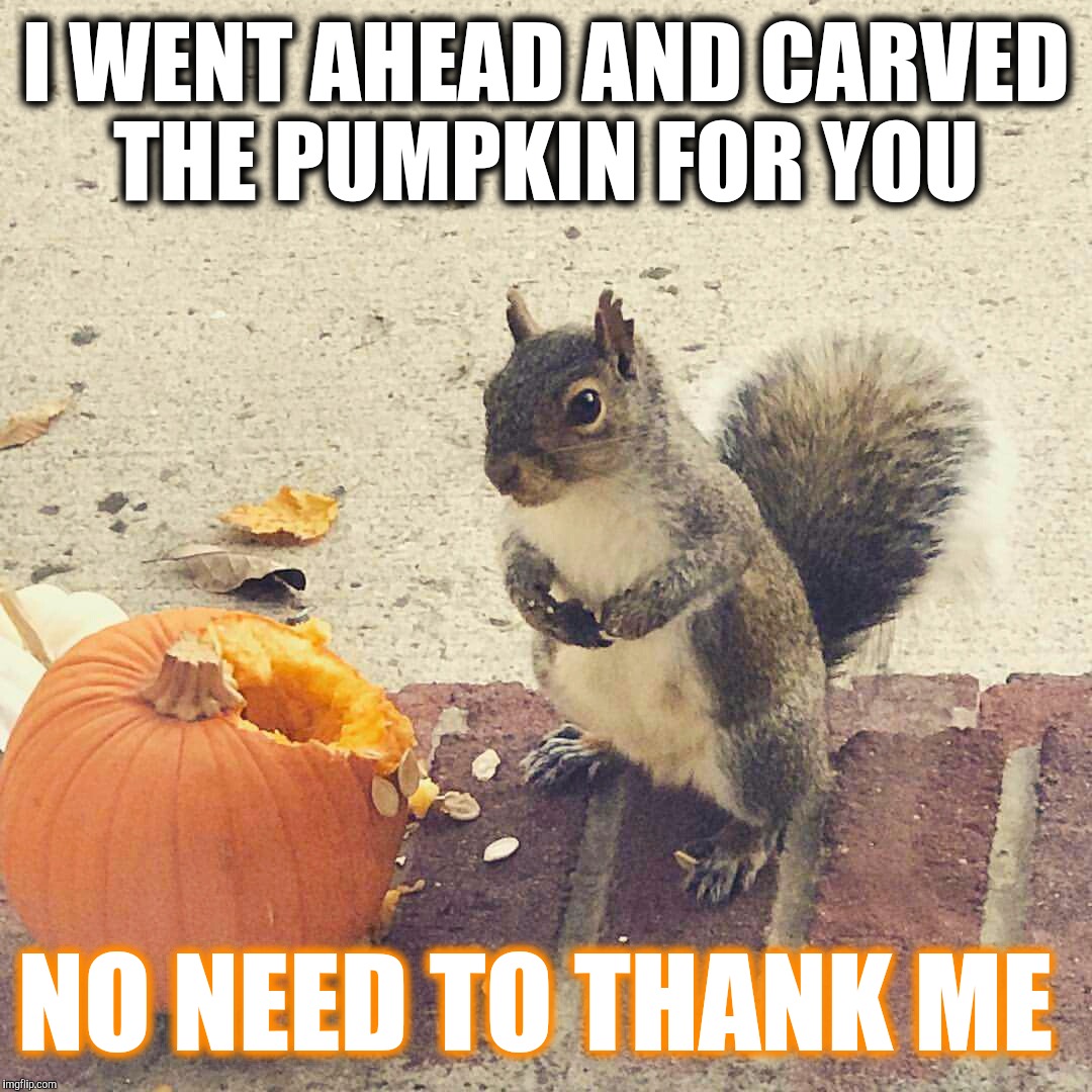 32 Pumpkin Spice Meme Fall Funnies - Gallery.