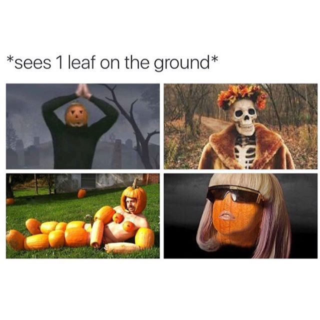 memes - waiting for fall meme - sees 1 leaf on the ground