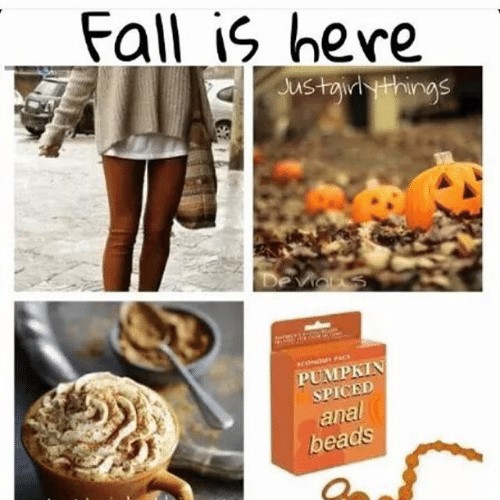memes - white girls and fall - Fall is here Justgirly things Pumpkin Spiced anal beads