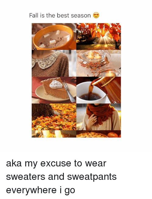 memes - everything autumn - Fall is the best season aka my excuse to wear sweaters and sweatpants everywhere i go