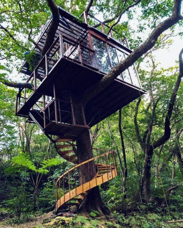 tree houses - Mani Starrinithirainthiiii Linhninhite Hinnish Marutham ,