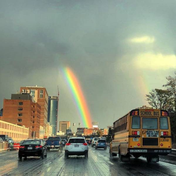 brightest rainbow - School Bus Ar Volg Oo C29308 Tale Gericht