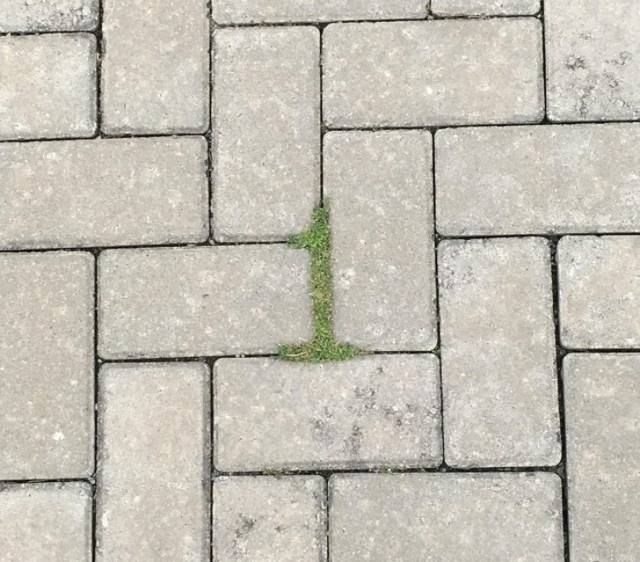 #1 bricks on the sidewalk
