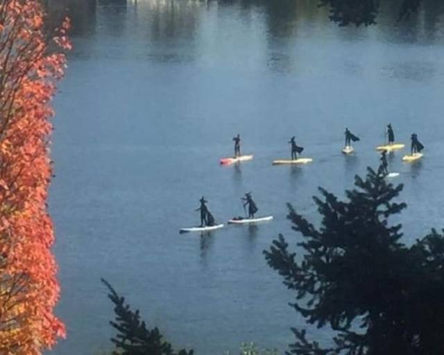 witches paddle boarding portland