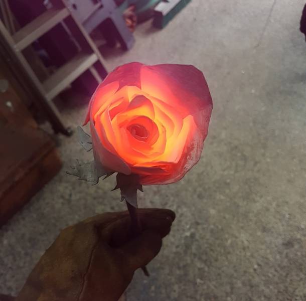rose on fire in reddit