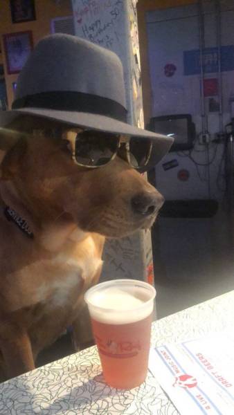 35 Cool Randoms That Will Help You Breeze Through The Day