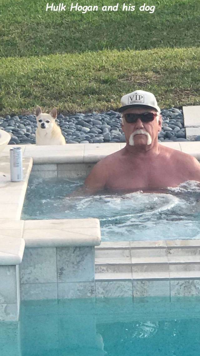 dont even try to bullshit us brother - Hulk Hogan and his dog Vip
