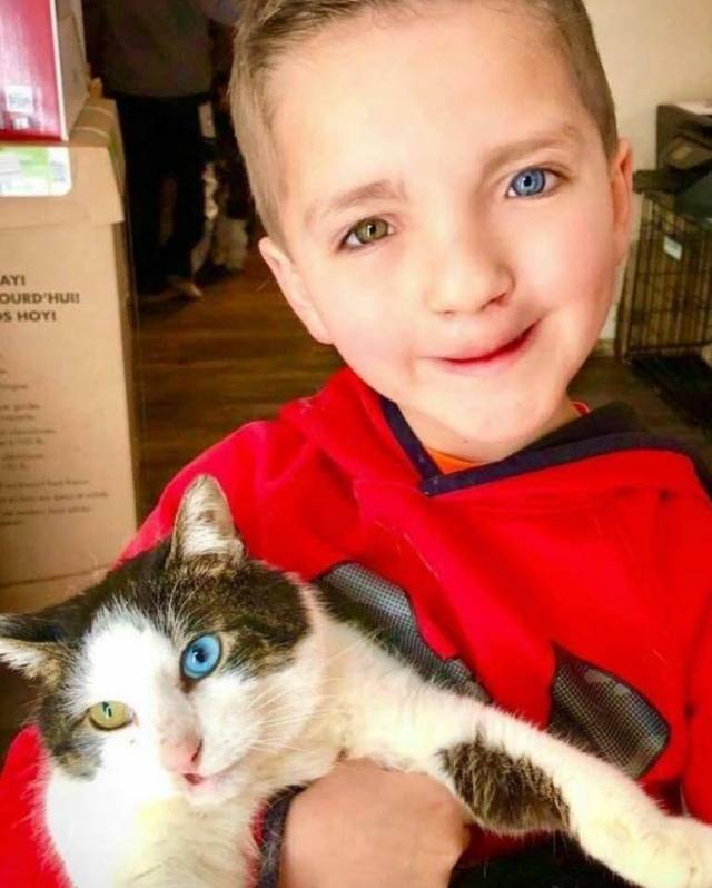 boy and cat with cleft lip