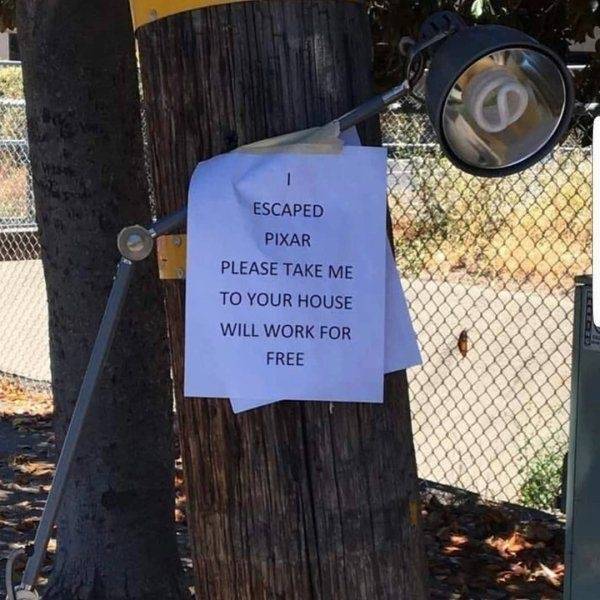 tree - Escaped Pixar Please Take Me To Your House Will Work For Free