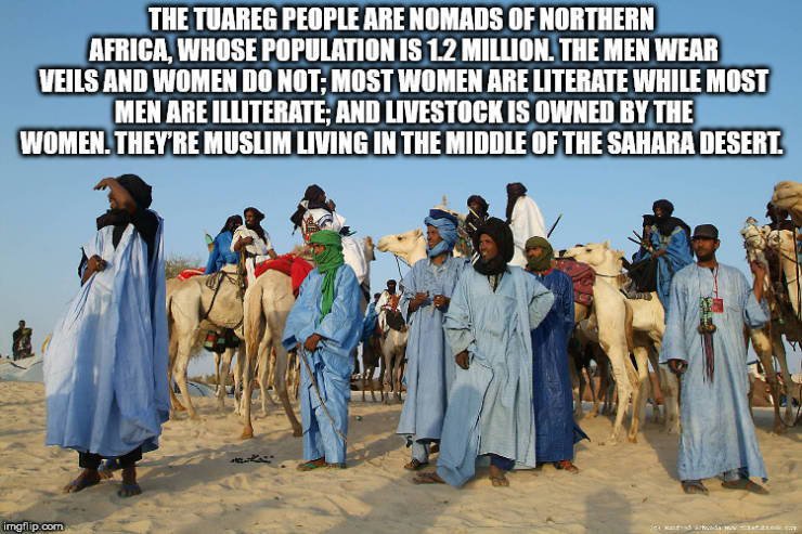 The Tuareg People Are Nomads Of Northern Africa Whose Population Is 12 Million. The Men Wear Veils And Women Do Not Most Women Are Literate While Most Men Are Illiterate And Livestock Is Owned By The Women. They'Re Muslim Living In The Middle Of The Sahar