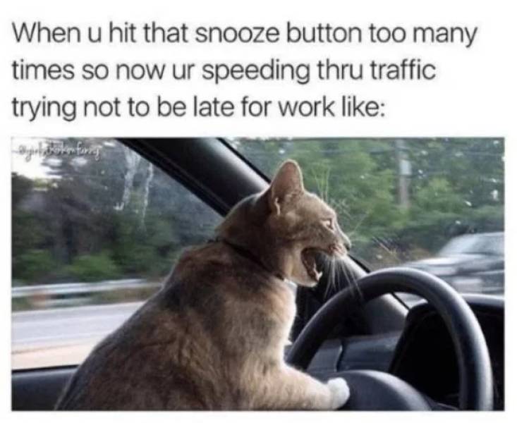 memes - memes about people who are always late - When u hit that snooze button too many times so now ur speeding thru traffic trying not to be late for work