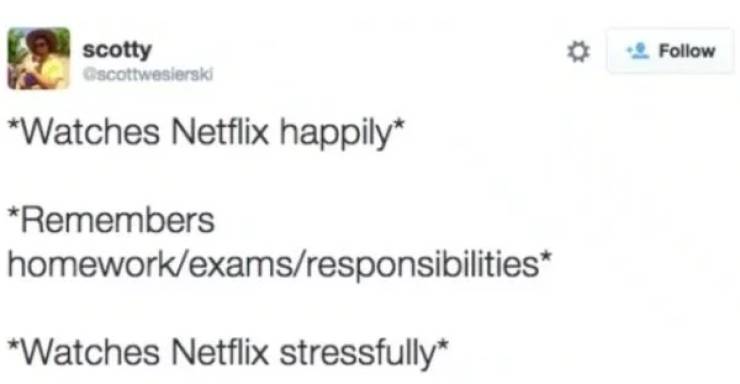 memes - diagram - scotty scottwesierski Watches Netflix happily Remembers homeworkexamsresponsibilities Watches Netflix stressfully