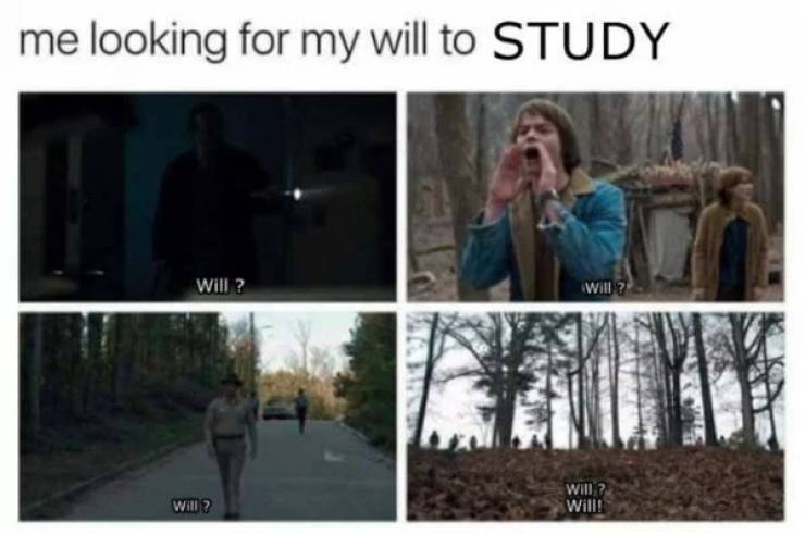 memes - looking for will to study - me looking for my will to Study Will? Will Will Will 2 Will!