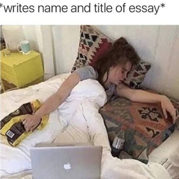 memes - need to sort my life out meme - kwrites name and title of essay
