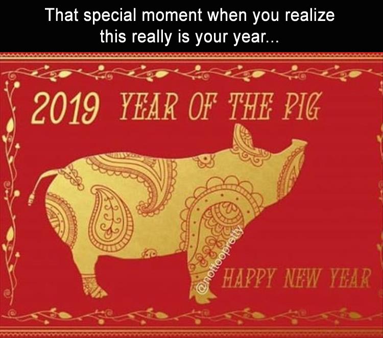 year of the pig - That special moment when you realize this really is your year... 2019 Year Of The Pig ore Happy New Year