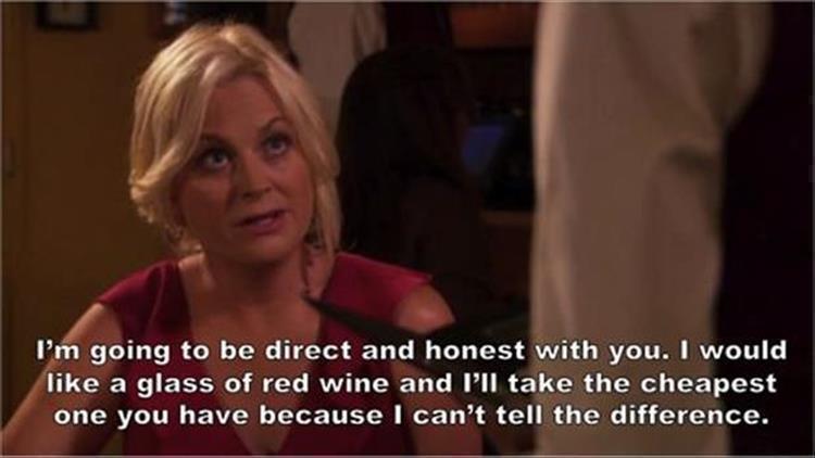 parks and rec wine quotes - I'm going to be direct and honest with you. I would a glass of red wine and I'll take the cheapest one you have because I can't tell the difference.