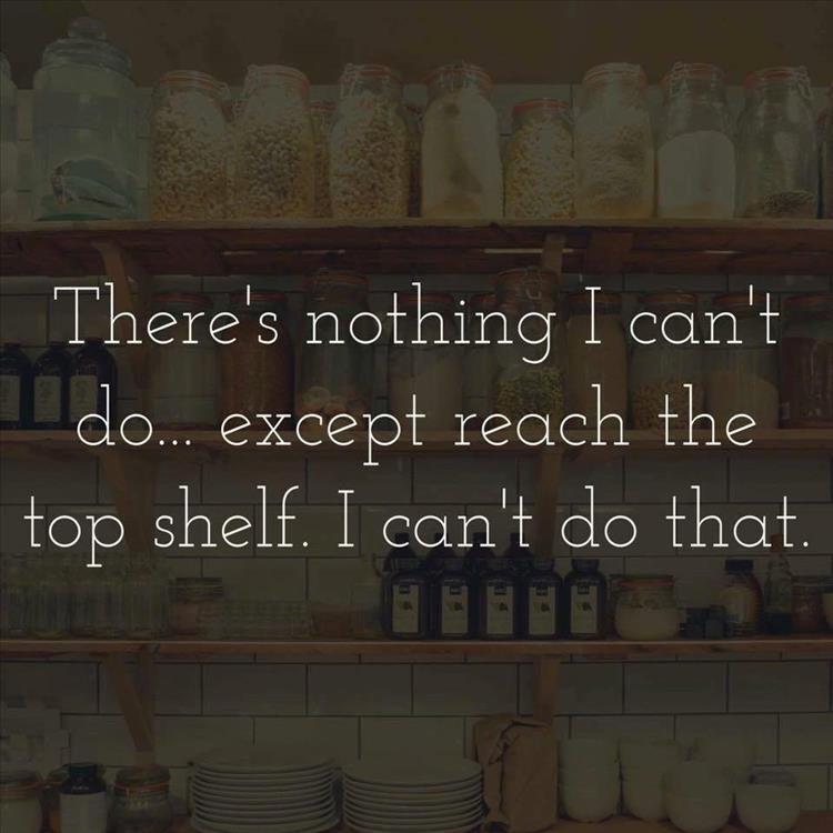 Humour - There's nothing I can't do... except reach the top shelf. I can't do that.
