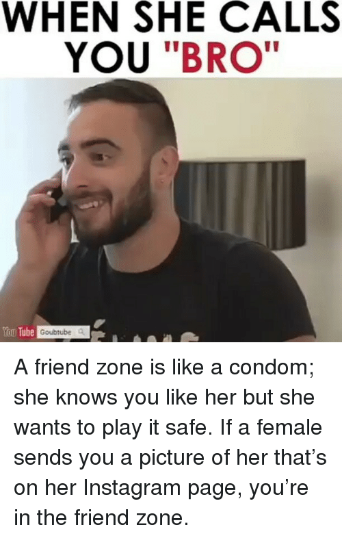 bro friend zone meme - When She Calls You "Bro" You Tube Goubtube A friend zone is a condom; she knows you her but she wants to play it safe. If a female sends you a picture of her that's on her Instagram page, you're in the friend zone.