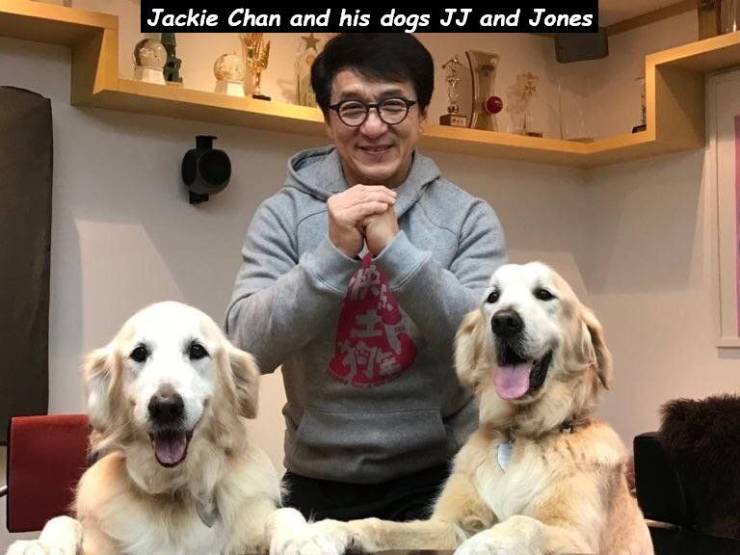 jackie chan dogs - Jackie Chan and his dogs Jj and Jones
