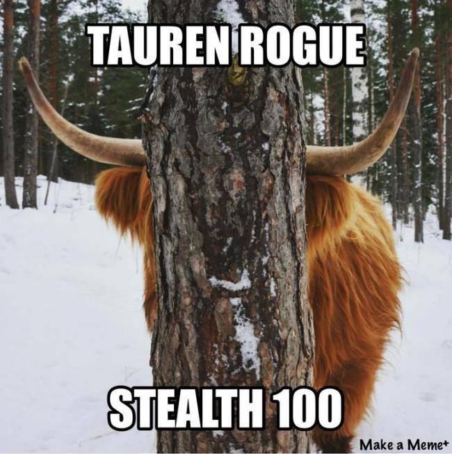 mijas - Tauren Rogue Stealth 100 Make a Memet