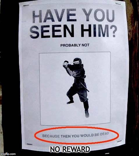 stealth ninja meme - Have You Seen Him? Probably Not Because Then You Would Be Dead No Reward imgflip.com