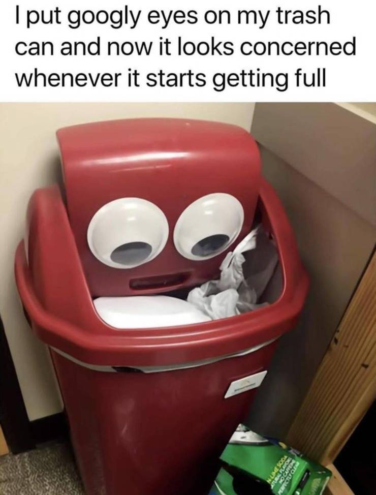 funny pics and memes - put googly eyes on my trash can - I put googly eyes on my trash can and now it looks concerned whenever it starts getting full