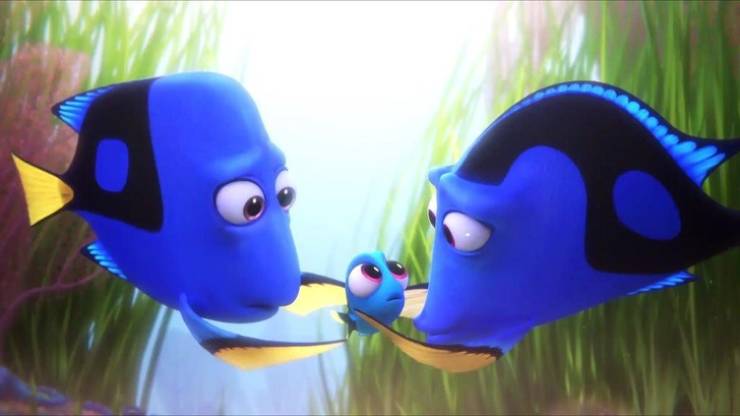 “The most amazing thing about Finding Dory is how they managed to put a receding hairline on a fish.”