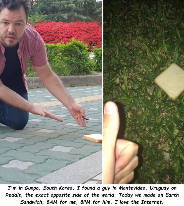 funny pics - grass - I'm in Gunpo, South Korea. I found a guy in Montevideo, Uruguay on Reddit, the exact opposite side of the world. Today we made an Earth Sandwich, 8AM for me, 8PM for him. I love the Internet.