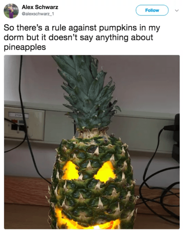 dank memes - of a jack o lantern pineapple - Alex Schwarz So there's a rule against pumpkins in my dorm but it doesn't say anything about pineapples