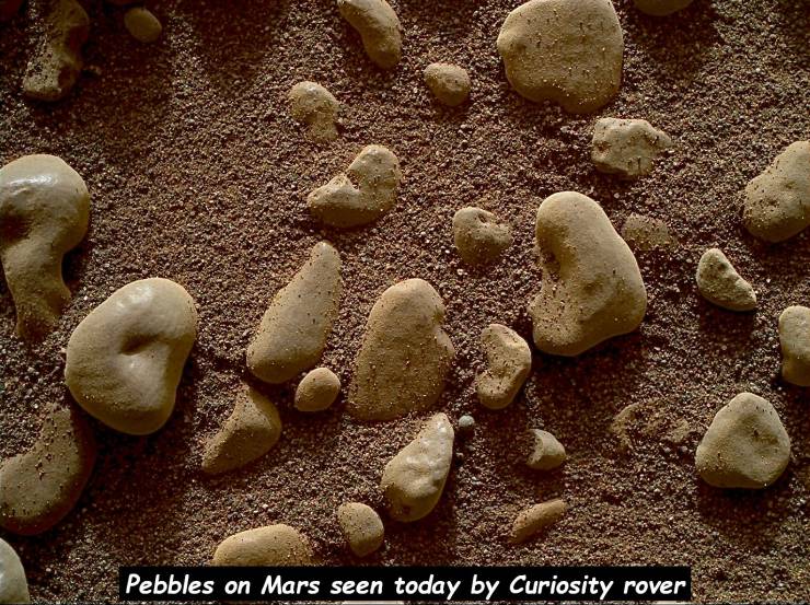 rock - Pebbles on Mars seen today by Curiosity rover