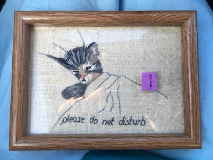 picture frame - Tumgood please do not disturb