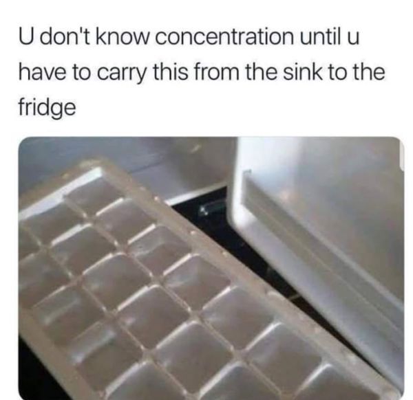 ice tray da gang meme - U don't know concentration until u have to carry this from the sink to the fridge