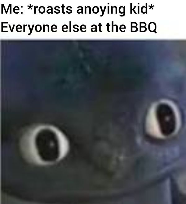 Meme - Me roasts anoying kid Everyone else at the Bbq