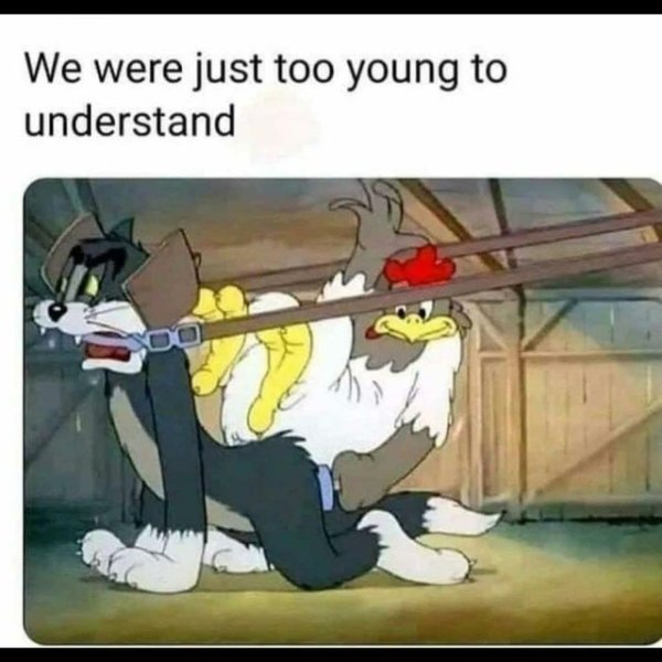 Meme - We were just too young to understand
