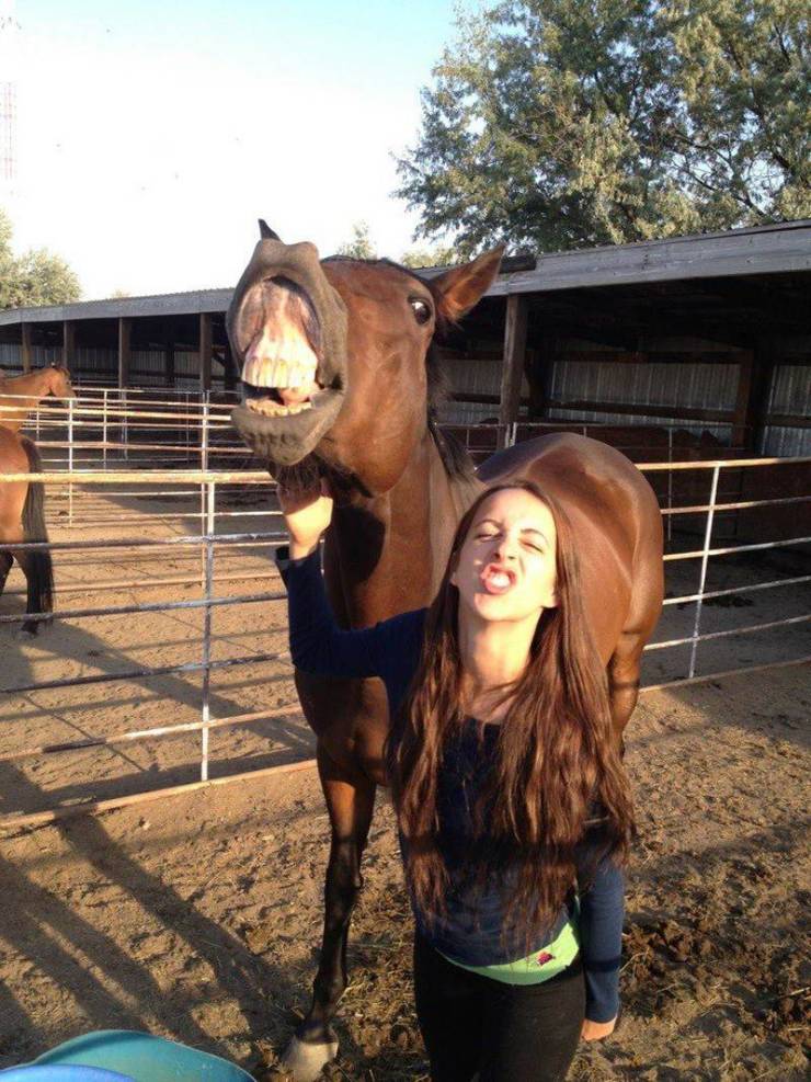 horse facial girl