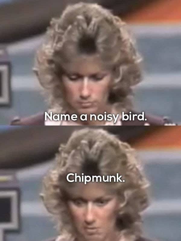 family feuds funniest and stupid answers - Name a noisy bird. Chipmunk